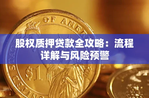 北京股权质押贷款全攻略：流程详解与风险预警