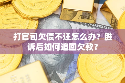北京打官司欠债不还怎么办？胜诉后如何追回欠款？