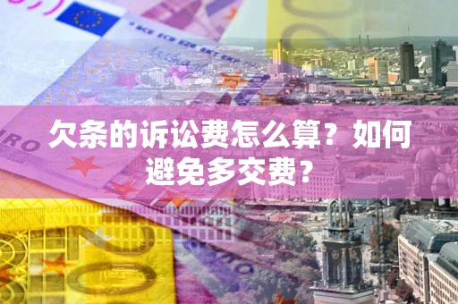 北京欠条的诉讼费怎么算？如何避免多交费？