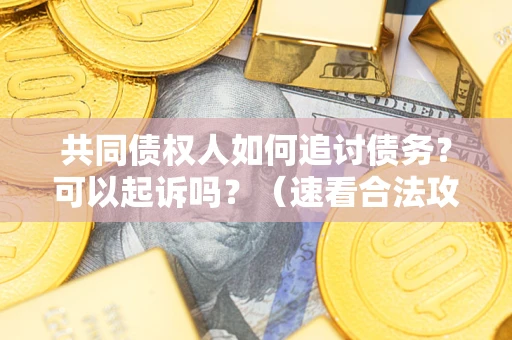 北京共同债权人如何追讨债务？可以起诉吗？（速看合法攻略）