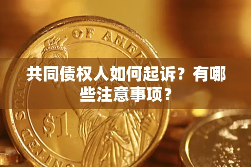 北京共同债权人如何起诉？有哪些注意事项？